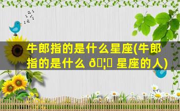 牛郎指的是什么星座(牛郎指的是什么 🦊 星座的人)